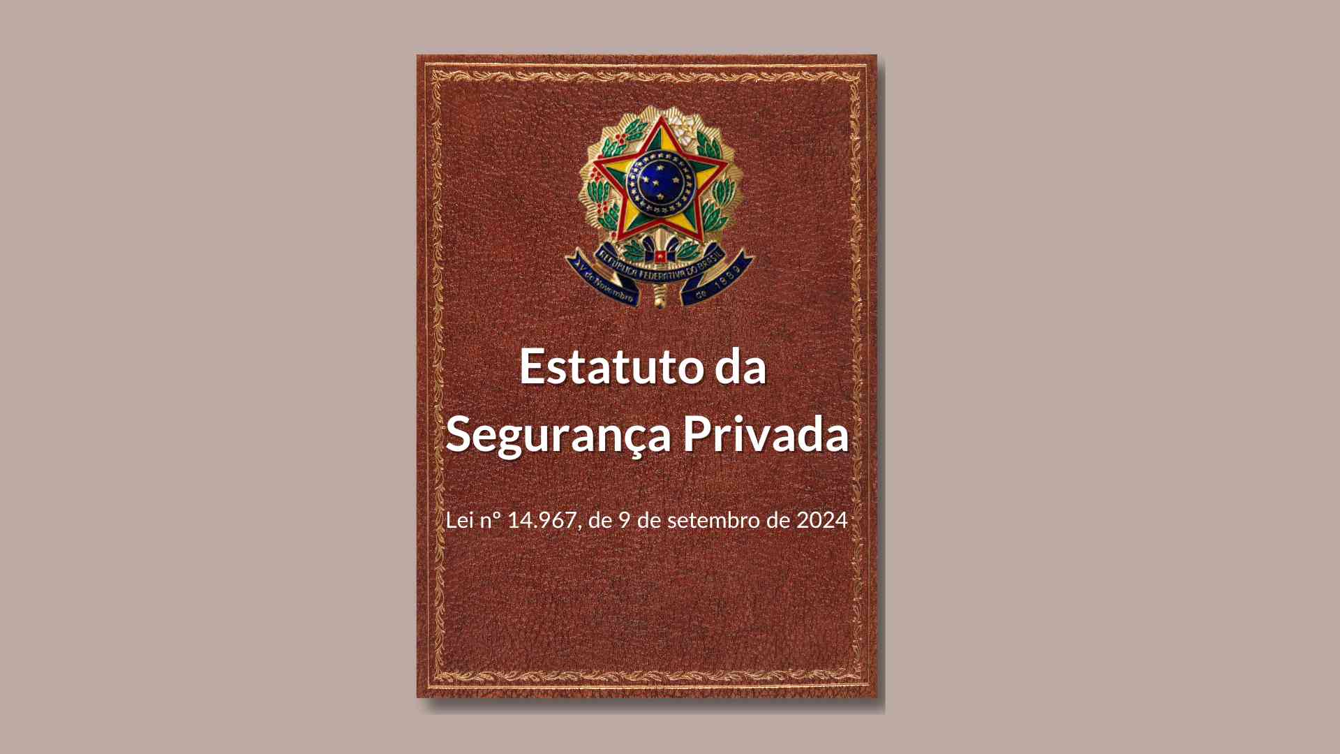 Estatuto Da Seguranca Privada 2024 - PV Assessoria Contábil | Contabilidade no Rio de Janeiro